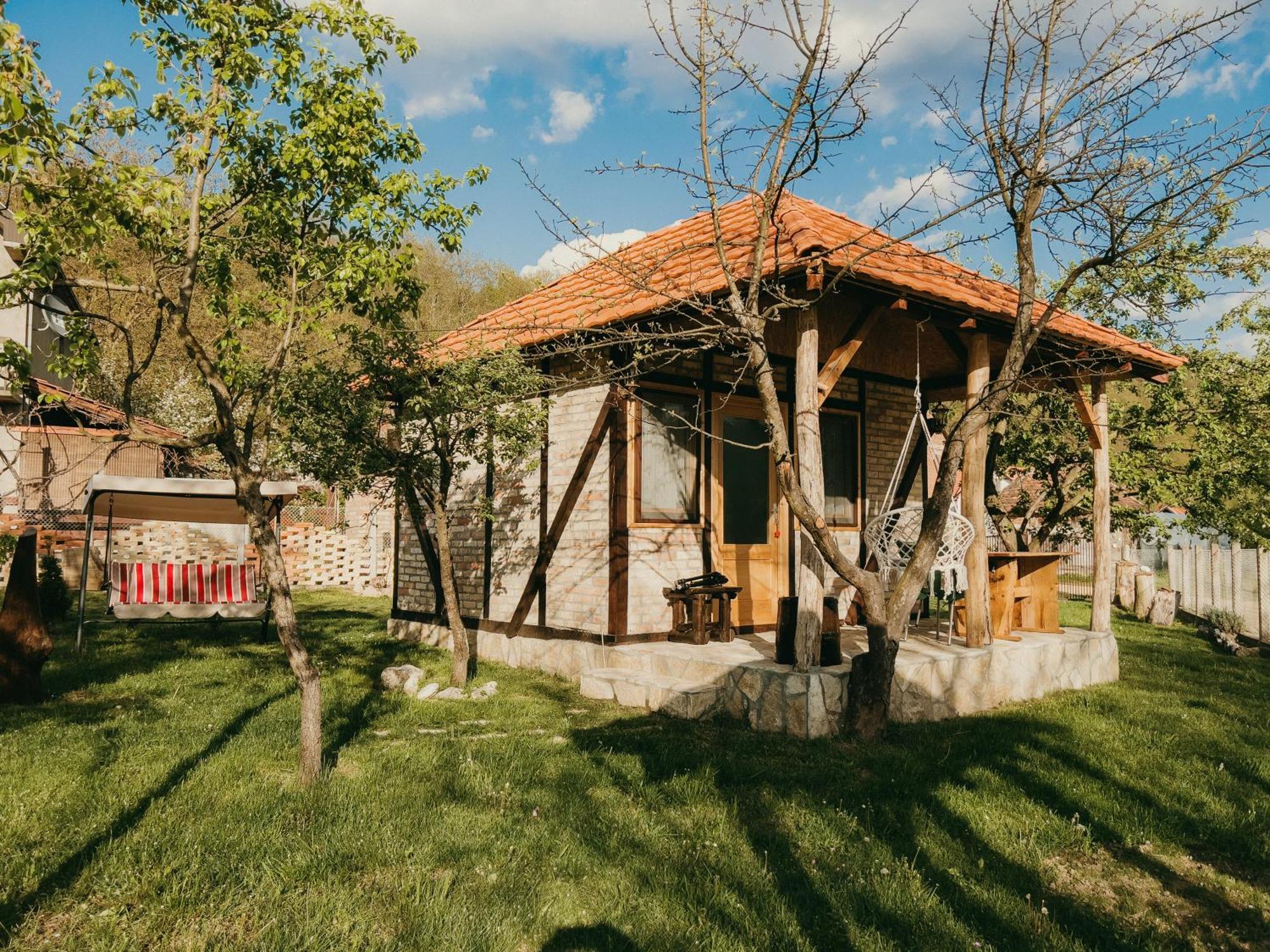 Drinska Dedovina